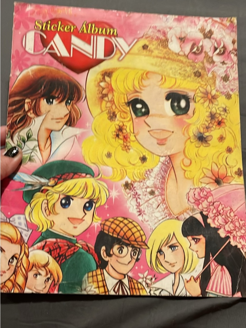 Candy Sticker Album - Pink Illustrated Cover
